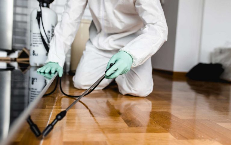 Cara Pembasmian Kecoa oleh CREDENTIAL PEST